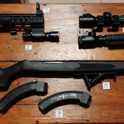 10/22 lote de accesorios y piezas