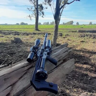 FX Impact mk1cal .22 de PCP