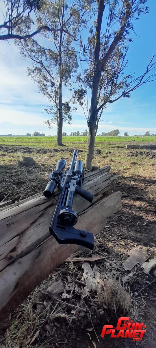 FX Impact mk1cal .22 de PCP